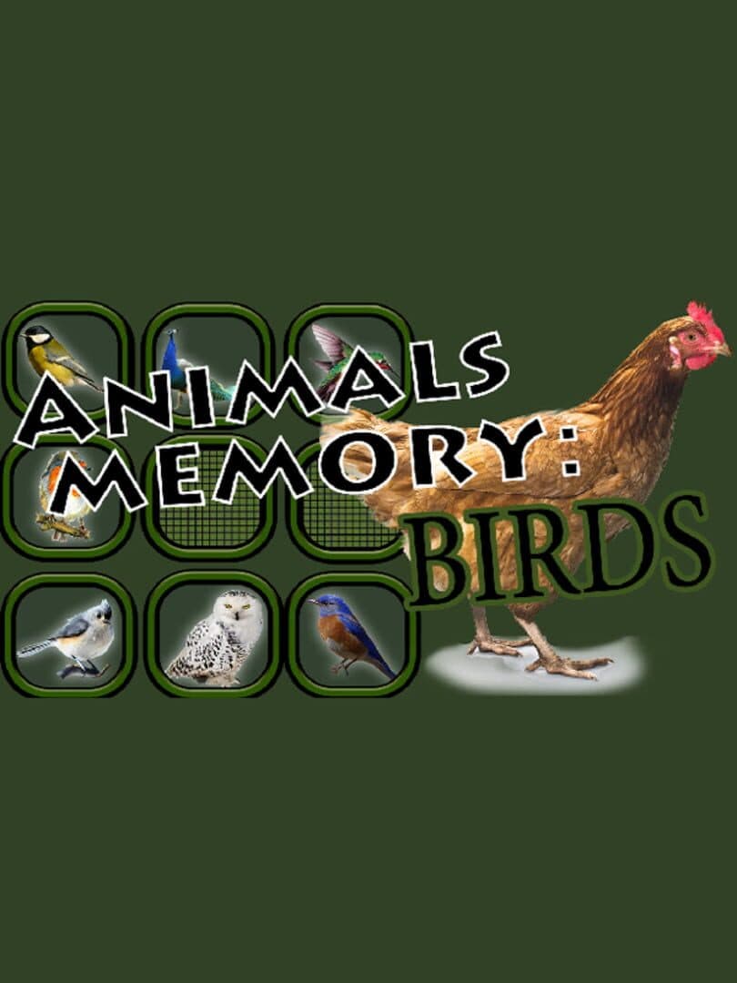 Animals Memory: Birds